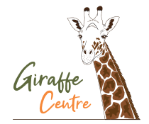 Giraffe Centre